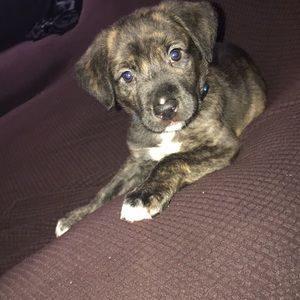 Meet your Posher, Glenn